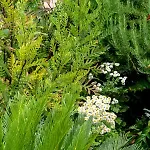 Garden Апартаменты Вела-Лука