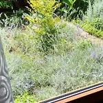 Garden Апартаменты Вела-Лука