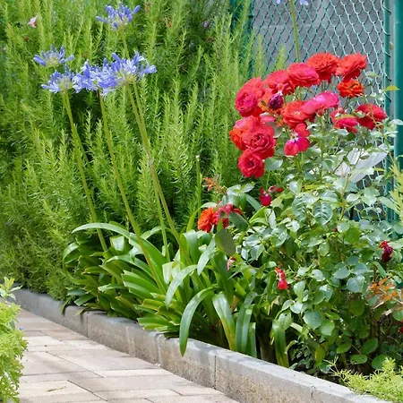 Garden *