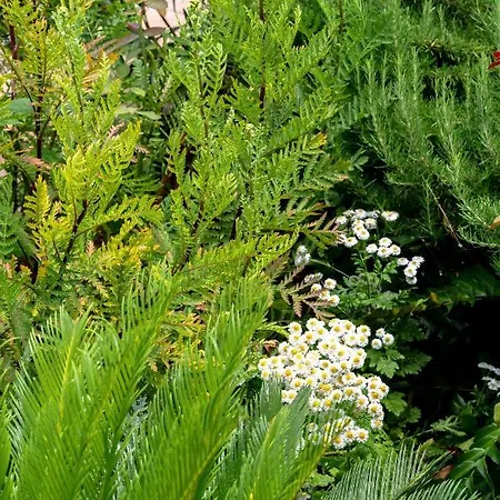 Garden 아파트 벨라루카