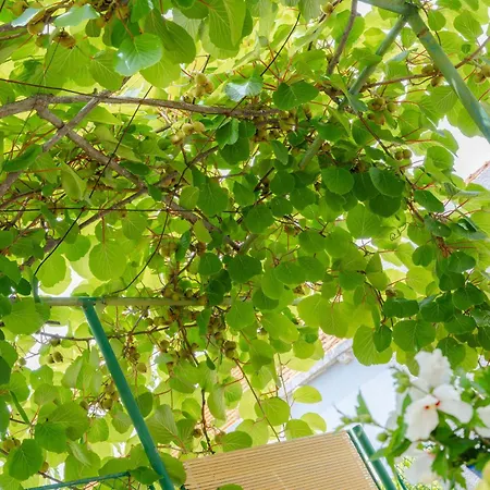 Garden Vela Luka