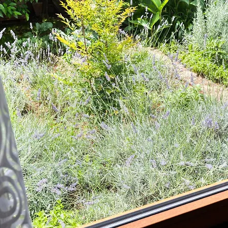 Garden 아파트 벨라루카