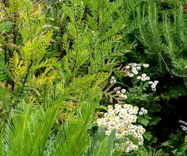 Garden Apartamento Vela Luka