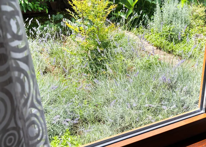 Garden Apartamento Vela Luka